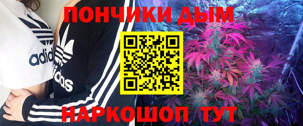 Каннабис планчик Лангепас